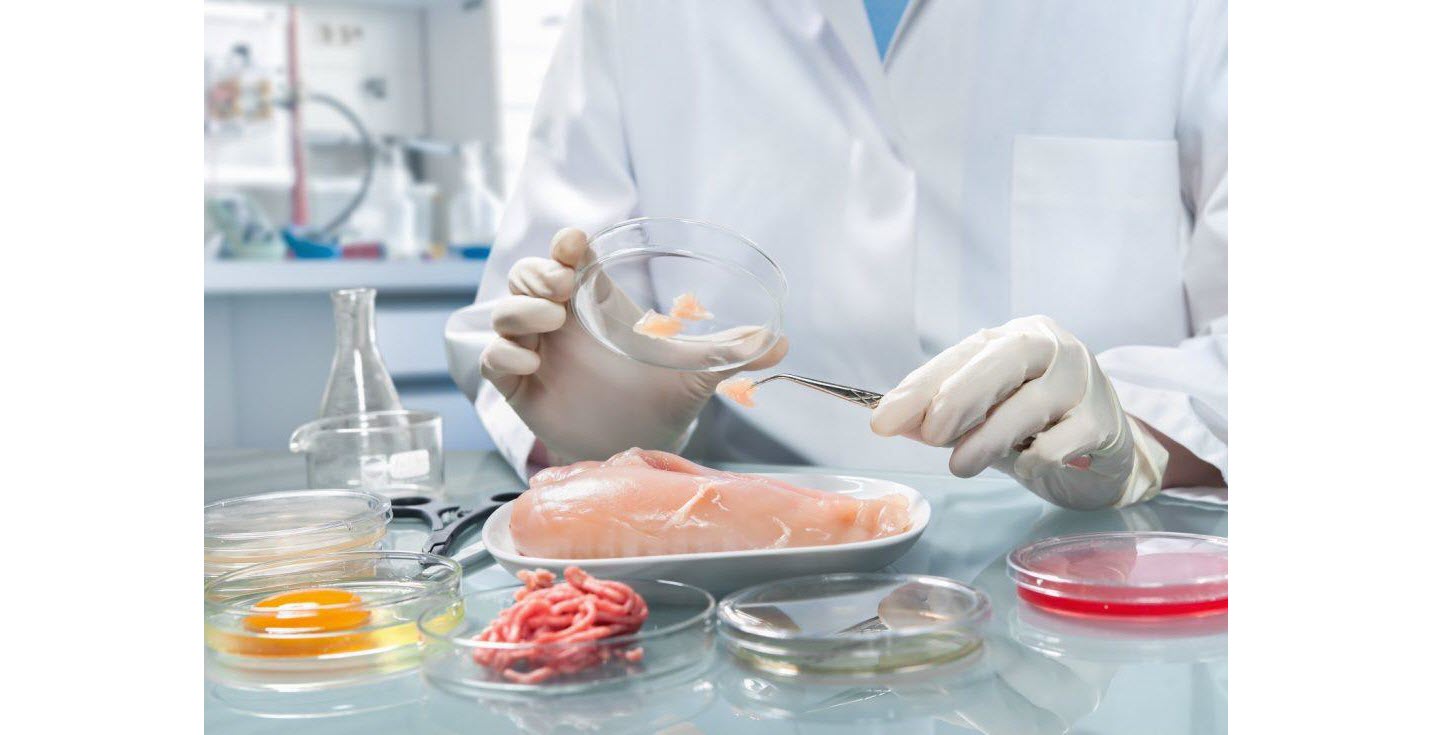 کنترل کیفی مواد غذایی در آزمایشگاه رویان پژوه کاوش پویا